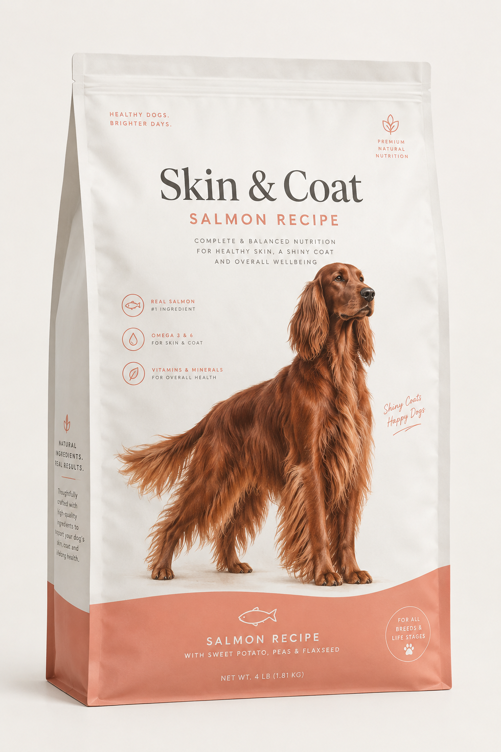 Skin & Coat Salmon Recipe